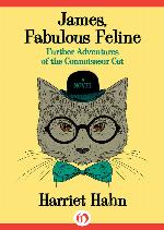 James, Fabulous Feline