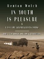 In Youth Is Pleasure