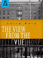 The View from the Vue