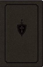 Manual for Conquering Deadly Sin