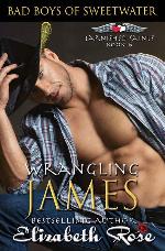 Wrangling James (Bad Boys of Sweetwater: Tarnished Saints Series) (Volume 6)