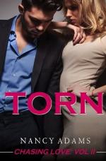 Chasing Love Torn (Volume 2)