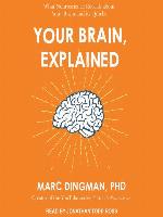 Your Brain, Explained