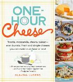 One-Hour Dairy-Free Cheese