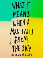 What It Means When a Man Falls from the Sky