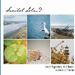 Sanibel Island: An Art Gallery in a Book (Volume 1)