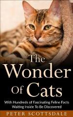 The Wonder Of Cats