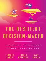 The Resilient Decision-Maker