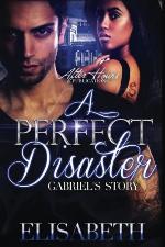 A Perfect Disaster: Gabriel's Story