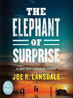 The Elephant of Surprise