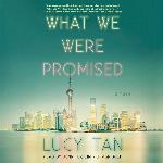 What We Were Promised