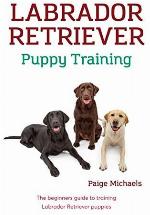 Labrador Retriever Puppy Training: The beginners guide to training Labrador Retriever puppies