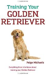 Training Your Golden Retriever: Everything there is to know about training your Golden Retriever