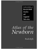 Atlas Of The Newborn