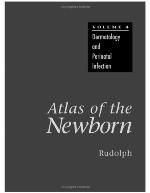 Atlas of the Newborn Volume 4: Dermatology and Perinatal Infection