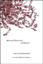 Almond Blossoms and Beyond