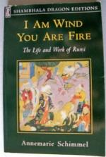 I Am Wind, You Are Fire: The Life and Work of Rumi