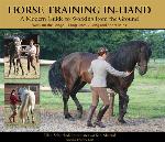 Horse Training In-Hand