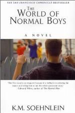 The World of Normal Boys