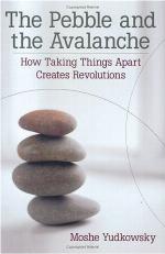 The Pebble and the Avalanche