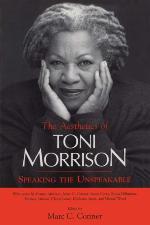 The Aesthetics of Toni Morrison