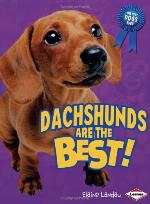 Dachshunds Are the Best!