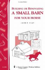 Building or Renovating a Small Barn for Your Horse