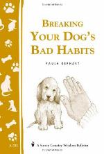 Breaking Your Dog's Bad Habits