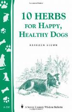 10 Herbs for Happy, Healthy Dogs