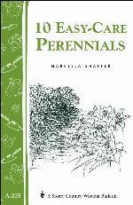 10 Easy-Care Perennials