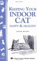 Keeping Your Indoor Cat Happy  Healthy