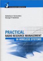 Practical radio resource management in wireless systems