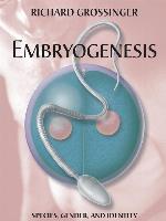 Embryogenesis