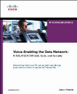 Voice-Enabling the Data Network