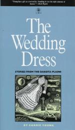 The wedding dress : stories from the Dakota Plains
