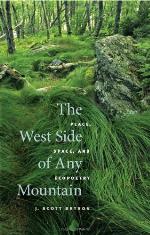 The west side of any mountain : place, space, and ecopoetry