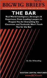 Bigwig Briefs Test Prep