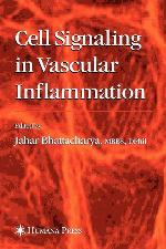 Cell Signaling In Vascular Inflammation