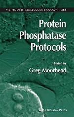 Protein Phosphatase Protocols (Methods in Molecular Biology, 365)