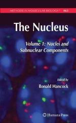The Nucleus