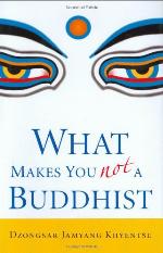 What Makes You Not a Buddhist