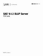 SAS 9.1.3 OLAP Server