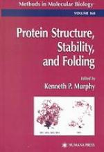 Protein Structure, Stability, and Folding