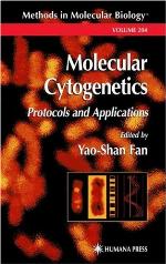 Molecular Cytogenetics : Protocols and Applications