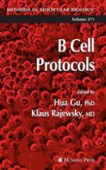 B cell protocols