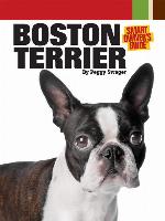 Boston Terrier