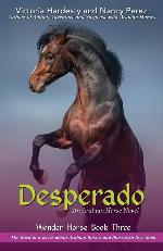Desperado: An Arabian Horse Novel (Wonder Horse Book)