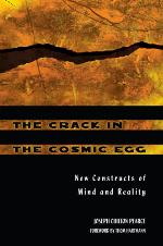 The Crack in the Cosmic Egg