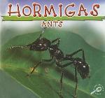 Hormigas/Ants
