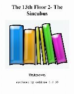 The Sincubus The 13th Floor